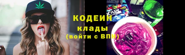 прущие грибы Аркадак