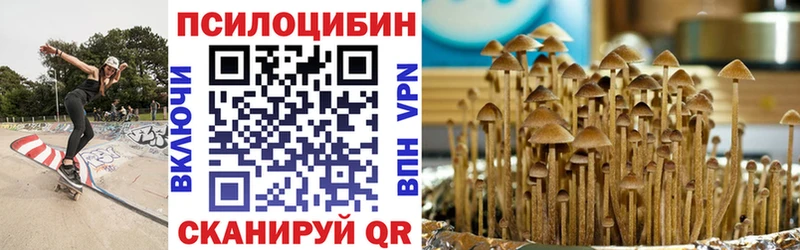 blacksprut сайт  Ахтубинск  мориарти как зайти  наркотики  Галлюциногенные грибы MAGIC MUSHROOMS 
